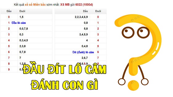 Chơi cá cược theo đầu đuôi câm khá phổ biến hiện nay